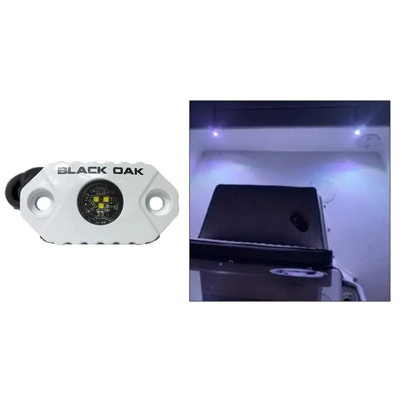 Black Oak Rock Accent Light – White Leds, White Housing 1