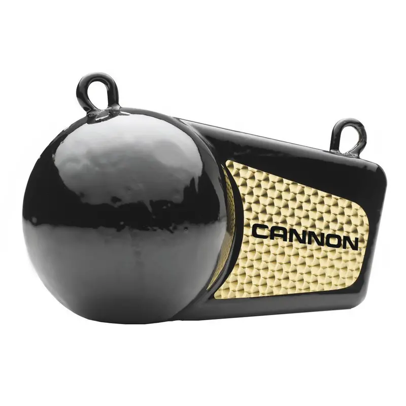 Cannon 10-Pound Flash Weight For Trolling – Model 2295184 1