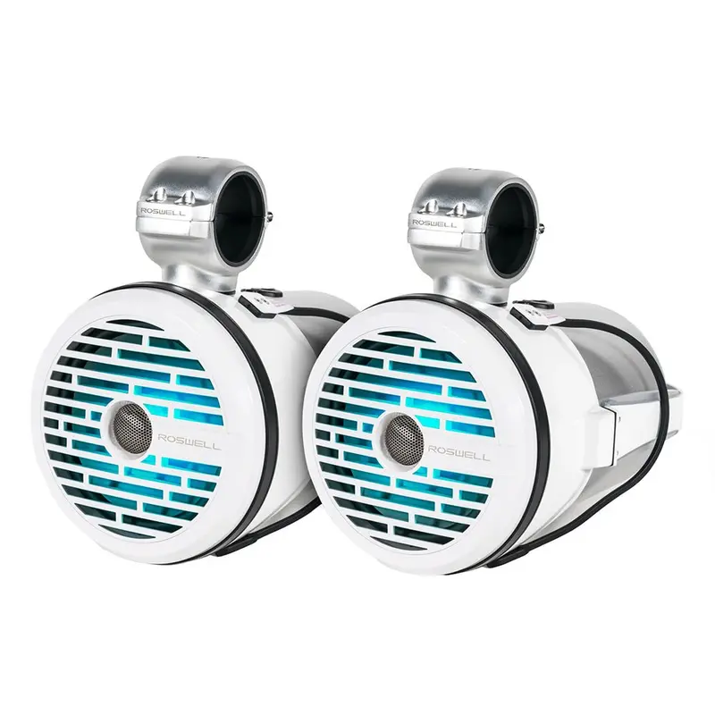 Roswell R1 8-Inch Tower Speakers – White, 100W Rms, Model C920-1710 1