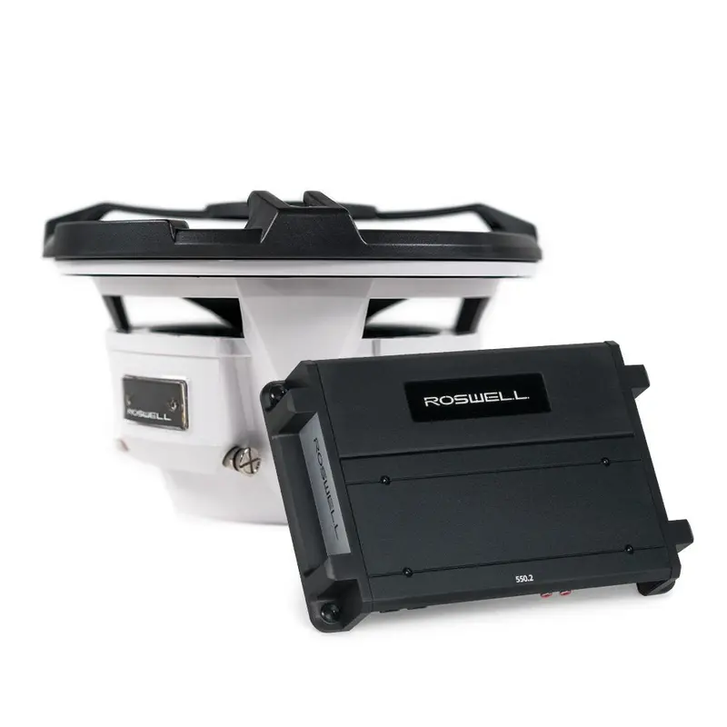 Roswell Rma 10-Inch Marine Subwoofer Package – Black 1